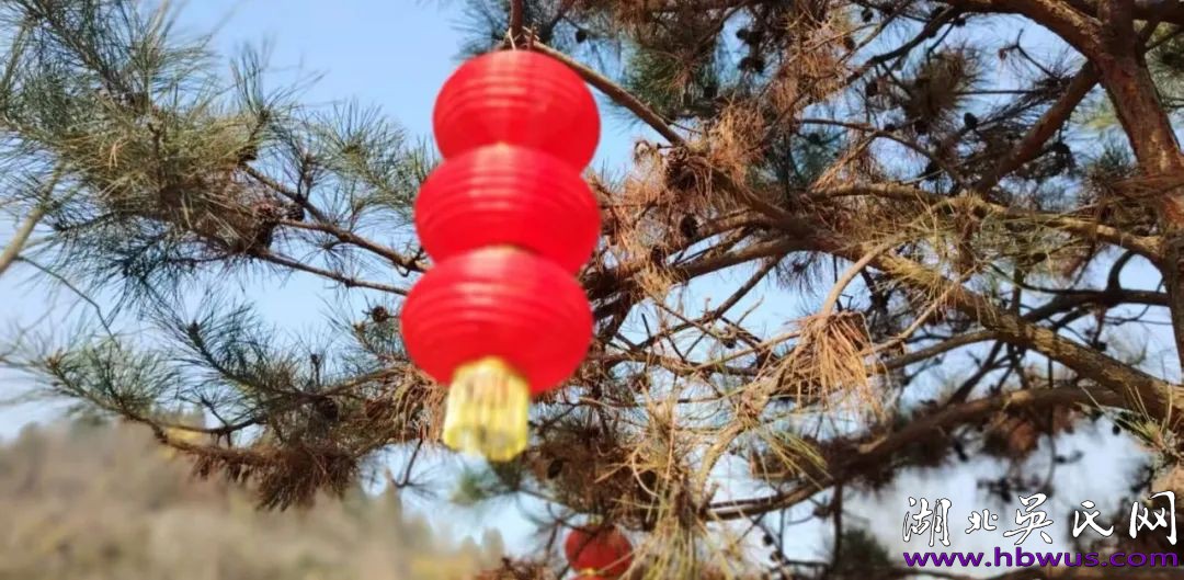 吴大升：乙巳首日，我们爷仨登上了磨基山顶