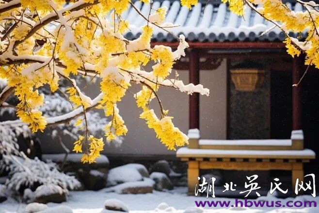 【雅人韵士】吴前进|篱菊似嫌冬色冷,花开几朵慰时人。 【雅人韵士】吴前进|篱菊似嫌冬色冷,花开几朵慰时人。