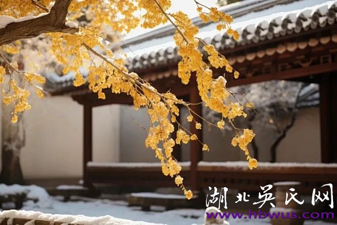 【雅人韵士】吴前进|篱菊似嫌冬色冷,花开几朵慰时人。 【雅人韵士】吴前进|篱菊似嫌冬色冷,花开几朵慰时人。